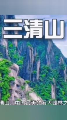 细胞分裂6